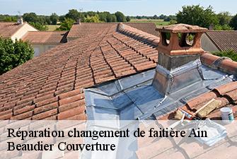 Réparation changement de faitière 01 Ain  Beaudier Couverture 