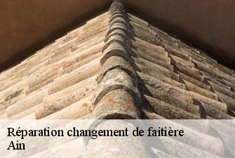 Réparation changement de faitière 01 Ain  Kenji Lagrenee Couverture