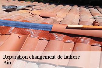 Réparation changement de faitière 01 Ain Renov Pro 01