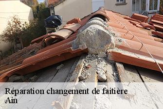 Réparation changement de faitière 01 Ain Renov Pro 01