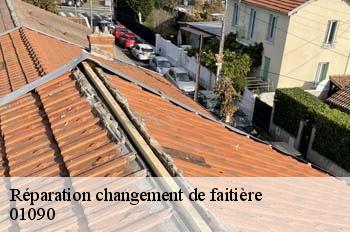 Réparation changement de faitière  amareins-01090 