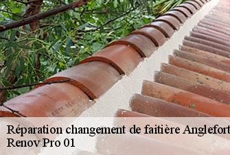 Réparation changement de faitière  anglefort-01350 Renov Pro 01