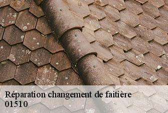 Réparation changement de faitière  armix-01510 Beaudier Couverture 