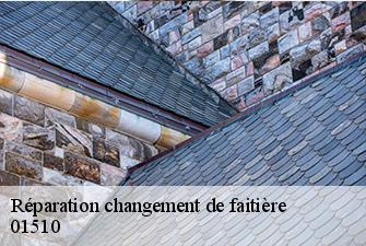 Réparation changement de faitière  armix-01510 Beaudier Couverture 