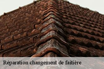 Réparation changement de faitière  armix-01510 Beaudier Couverture 