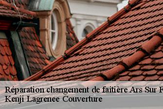 Réparation changement de faitière  ars-sur-formans-01480 Kenji Lagrenee Couverture