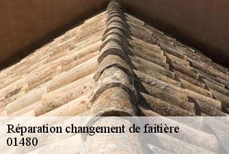 Réparation changement de faitière  ars-sur-formans-01480 Kenji Lagrenee Couverture