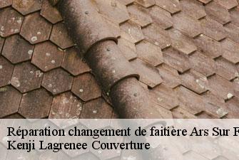 Réparation changement de faitière  ars-sur-formans-01480 Kenji Lagrenee Couverture