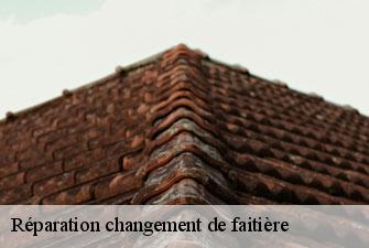 Réparation changement de faitière  ars-sur-formans-01480 Kenji Lagrenee Couverture