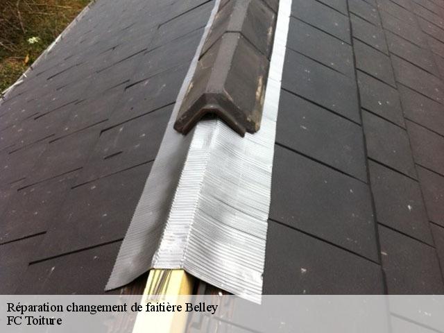 Réparation changement de faitière  belley-01300 FC Toiture