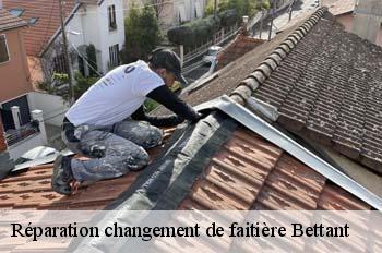 Réparation changement de faitière  bettant-01500 