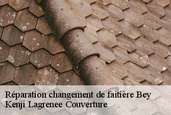 Réparation changement de faitière  bey-01290 Kenji Lagrenee Couverture