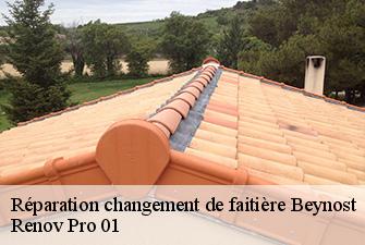 Réparation changement de faitière  beynost-01700 Renov Pro 01