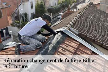 Réparation changement de faitière  billiat-01200 