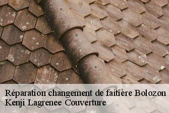 Réparation changement de faitière  bolozon-01450 Kenji Lagrenee Couverture