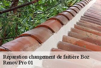 Réparation changement de faitière  boz-01190 Renov Pro 01