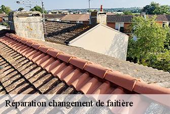 Réparation changement de faitière  brenod-01110 Renov Pro 01