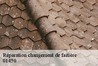 Réparation changement de faitière  challes-01450 Beaudier Couverture 