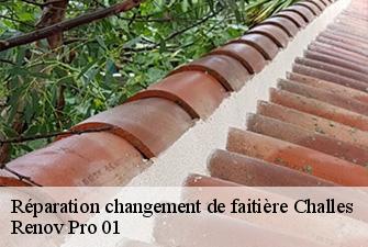 Réparation changement de faitière  challes-01450 Renov Pro 01
