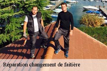 Réparation changement de faitière  challex-01630 