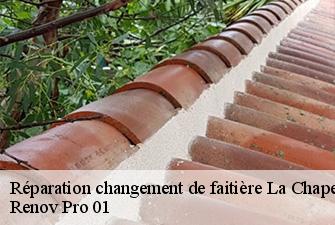 Réparation changement de faitière  la-chapelle-du-chatelard-01240 Renov Pro 01