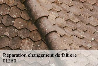 Réparation changement de faitière  charancin-01260 Beaudier Couverture 