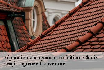 Réparation changement de faitière charix-01130 Kenji Lagrenee Couverture