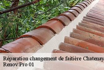 Réparation changement de faitière  chatenay-01320 Renov Pro 01