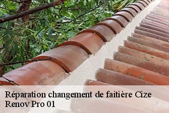 Réparation changement de faitière  cize-01250 Renov Pro 01