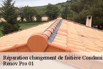 Réparation changement de faitière  condamine-01430 Renov Pro 01