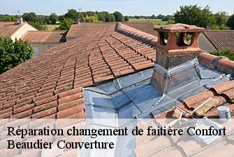 Réparation changement de faitière  confort-01200 Beaudier Couverture 