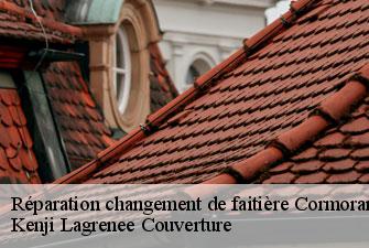 Réparation changement de faitière cormoranche-sur-saone-01290 Kenji Lagrenee Couverture