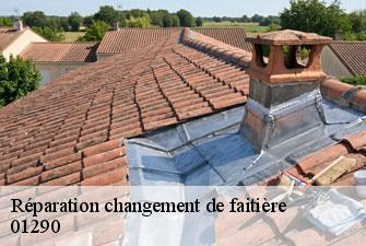 Réparation changement de faitière cormoranche-sur-saone-01290 Kenji Lagrenee Couverture