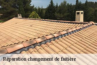 Réparation changement de faitière  hauteville-lompnes-01110 Renov Pro 01
