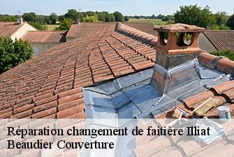 Réparation changement de faitière  illiat-01140 Beaudier Couverture 