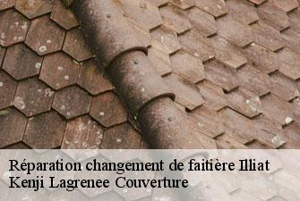Réparation changement de faitière illiat-01140 Kenji Lagrenee Couverture