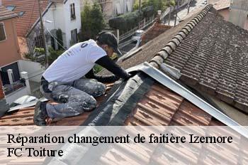 Réparation changement de faitière  izernore-01580 