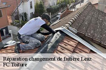 Réparation changement de faitière  leaz-01200 