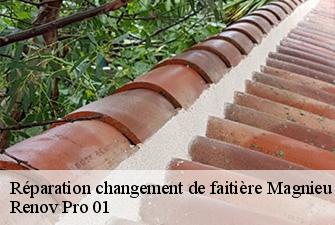 Réparation changement de faitière  magnieu-01300 Renov Pro 01