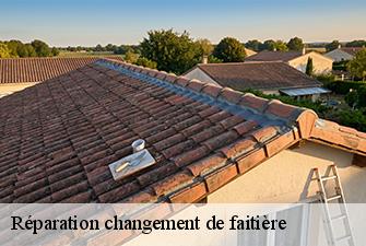 Réparation changement de faitière  manziat-01570 Beaudier Couverture 