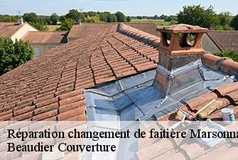Réparation changement de faitière  marsonnas-01340 Beaudier Couverture 