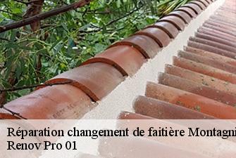 Réparation changement de faitière  montagnieu-01470 Renov Pro 01