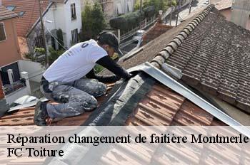 Réparation changement de faitière  montmerle-sur-saone-01090 