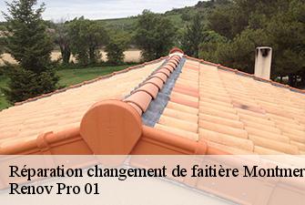 Réparation changement de faitière  montmerle-sur-saone-01090 Renov Pro 01