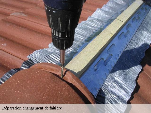 Réparation changement de faitière  nivollet-montgriffon-01230 