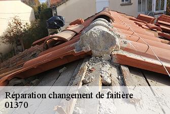 Réparation changement de faitière  pressiat-01370 Renov Pro 01