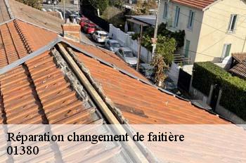 Réparation changement de faitière  saint-andre-de-bage-01380 