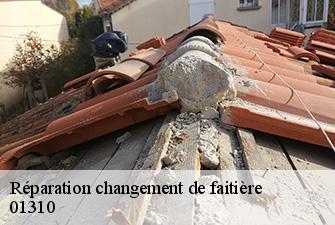 Réparation changement de faitière  saint-martin-le-chatel-01310 Renov Pro 01