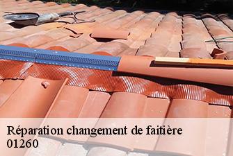Réparation changement de faitière  sutrieu-01260 Renov Pro 01