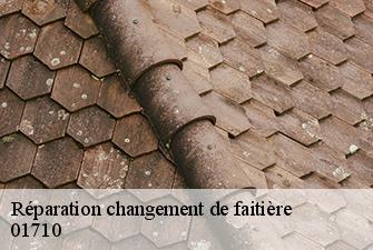 Réparation changement de faitière  thoiry-01710 Beaudier Couverture 